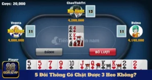 5 doi thong co chat duoc 3 heo khong 5