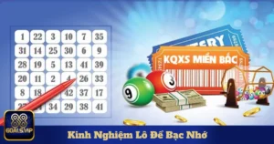 Phương Pháp Sử Dụng Bạc Nhớ Hiệu Quả