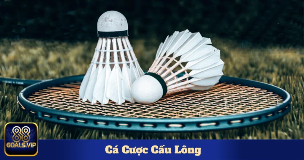 Cá Cược Cầu Lông 88Goals – Cách Đọc Kèo & Mẹo Đặt Cược 1 Sự khác biệt giữa cược chấp set đấu & cược thắng thua