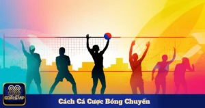 Cách Cá Cược Bóng Chuyền Hoạt Động Như Thế Nào?