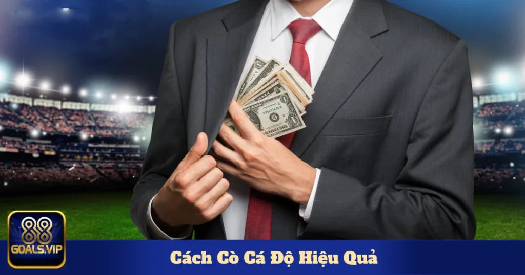 Lợi ích của việc trở thành cò cá độ