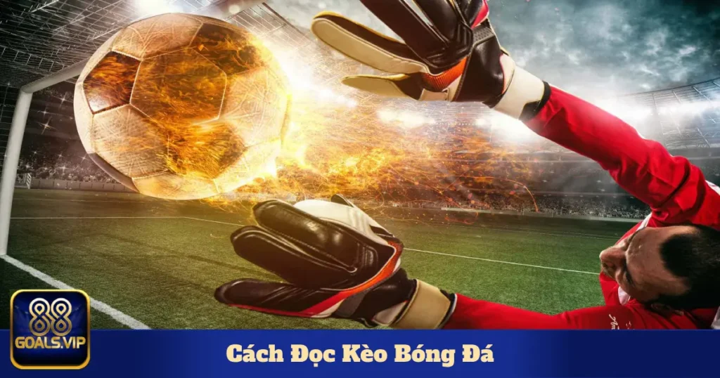 Khi nào nên chọn kèo châu Á, châu Âu hay Tài/Xỉu?